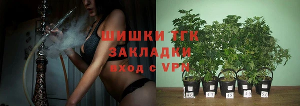 дживик Балахна