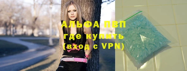дживик Гусев