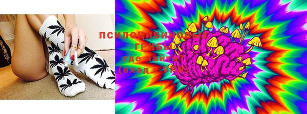 дживик Балахна