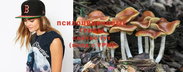 дживик Балахна