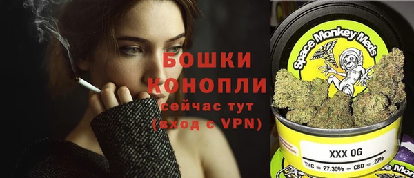 ешки Арсеньев