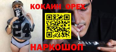 тгк Кингисепп
