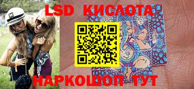 тгк Кингисепп