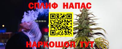 тгк Кингисепп