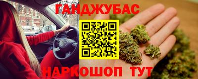 тгк Кингисепп