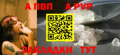 тгк Кингисепп