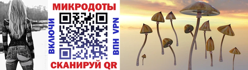Псилоцибиновые грибы GOLDEN TEACHER  закладка  Кувандык 